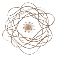 Home thewhisperoffindings icon2